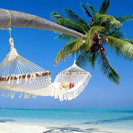 Affordable Two Bedroom Tropical Condo - Private Beach, Pools, Hot Tub Сейнт Питърсбърг Екстериор снимка