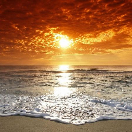 Affordable Two Bedroom Tropical Condo - Private Beach, Pools, Hot Tub Сейнт Питърсбърг Екстериор снимка